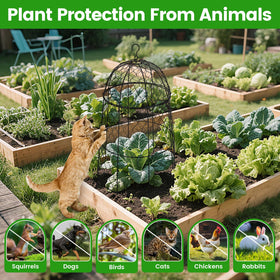 DFJFIFF anti-rust wire mesh cloche protects vegetables with durable, long-lasting coverage.