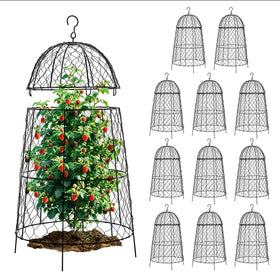 DFJFIFF garden cloche 20×12.6 inch with split top shielding seedlings from animals.