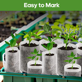 DFKPVBHB Biodegradable seed starter pot ready for soil planting