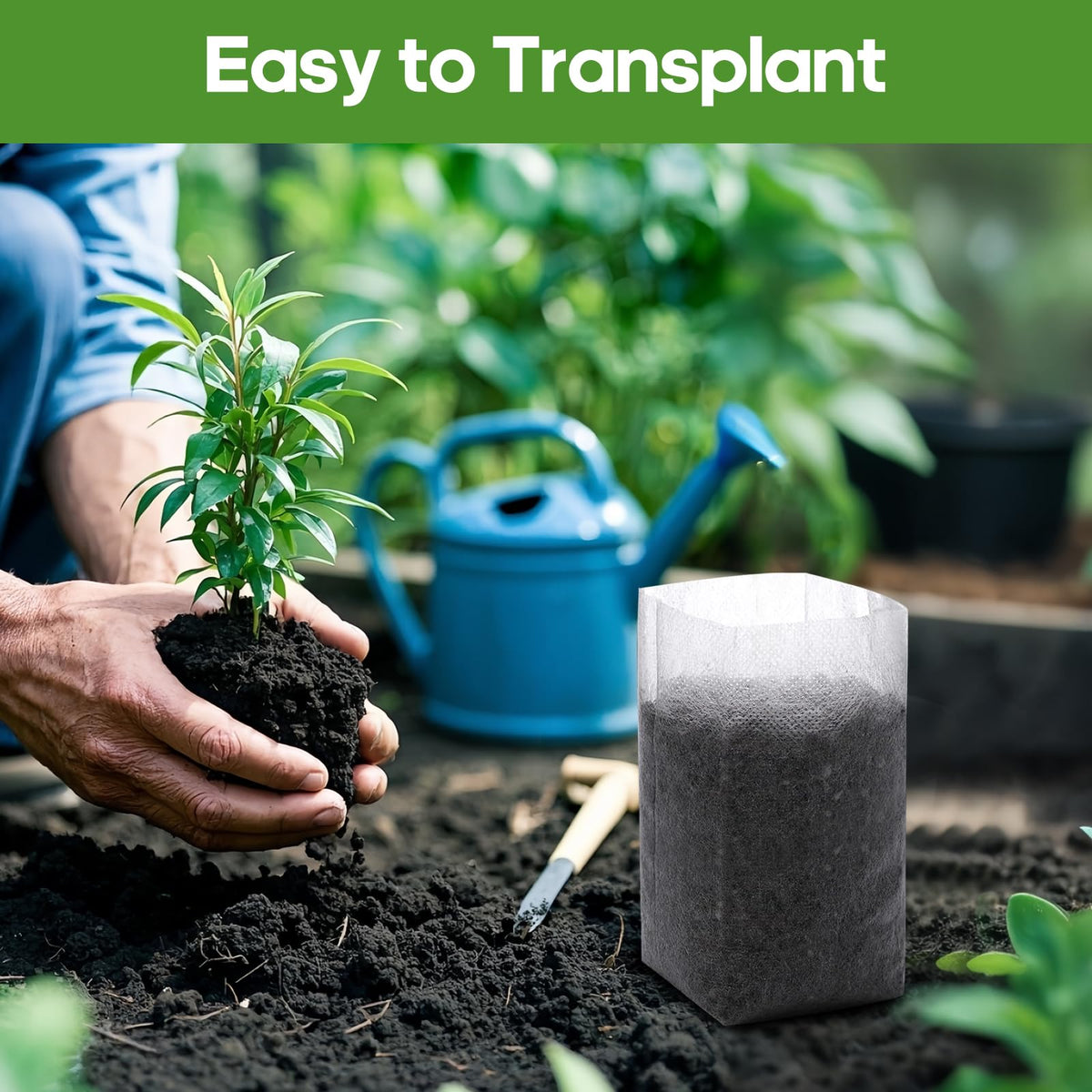 DFKPVBHB Biodegradable seedling pot enables direct soil transplant