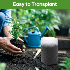 DFKPVBHB Biodegradable seedling pot enables direct soil transplant