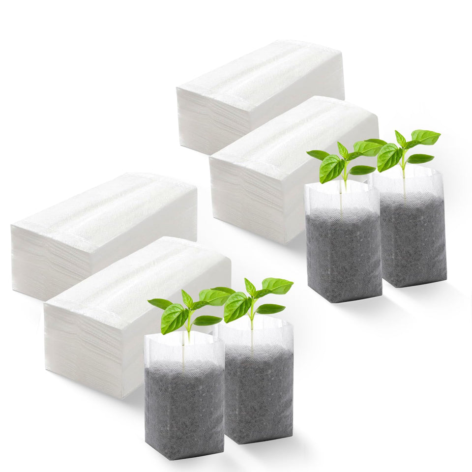 DFKPVBHB Plant Grow Bag demonstrates seedling start with easy transplanting