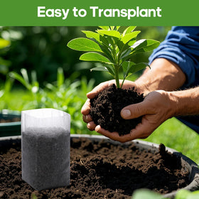 DFKPVBHB Space-saving seedling pot fits shelves and windowsills