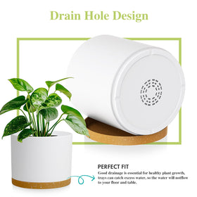 DGJDLWHX 8-inch black-brown pot versatile for large greenery