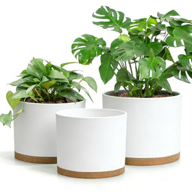 DGJDLWHX 8-inch white pot with drainage holes keeps plants tidy
