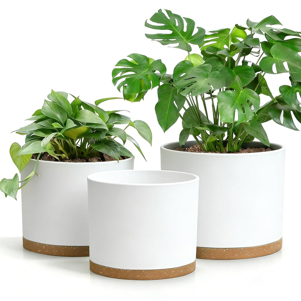 DGJDLWHX 8-inch white pot with drainage holes keeps plants tidy