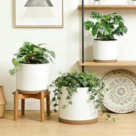 DGJDLWHX 9-inch black pot showcases modern style and stability