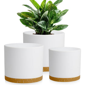 DGJDLWHX set with saucers protects floors from spills