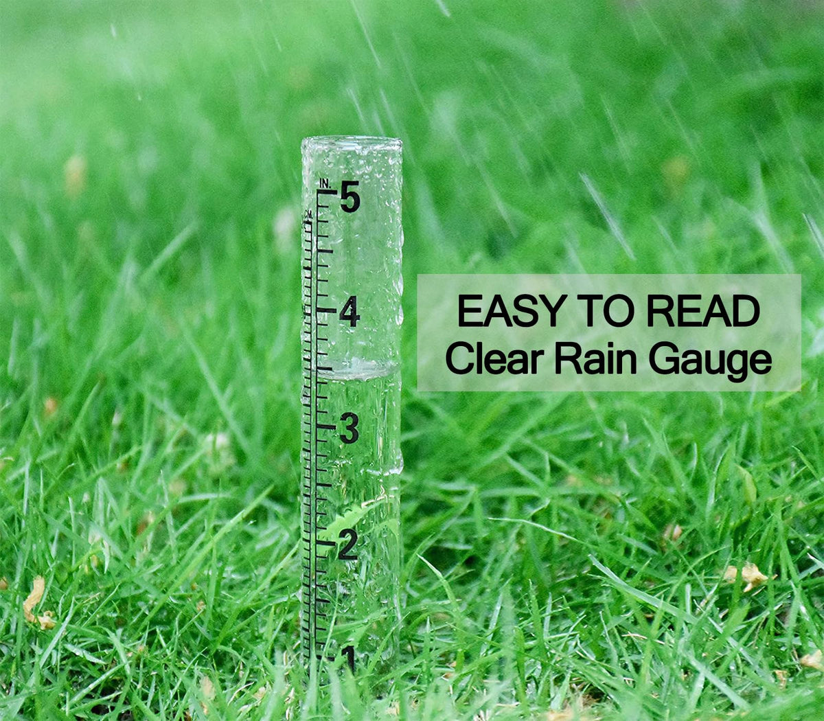 Two-scale dgudgu rain gauge tubes for inch and centimeter readings.
