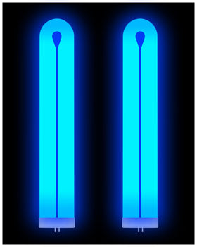 Dichroma BF150 bulb for Flowtron BK-80D enhances pest attraction