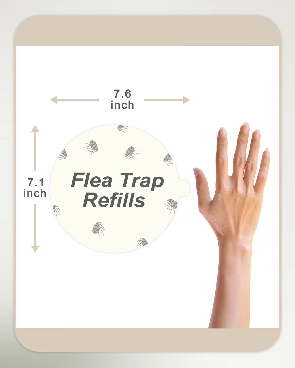Dichroma flea-trap disc long-lasting up to four weeks in home use.
