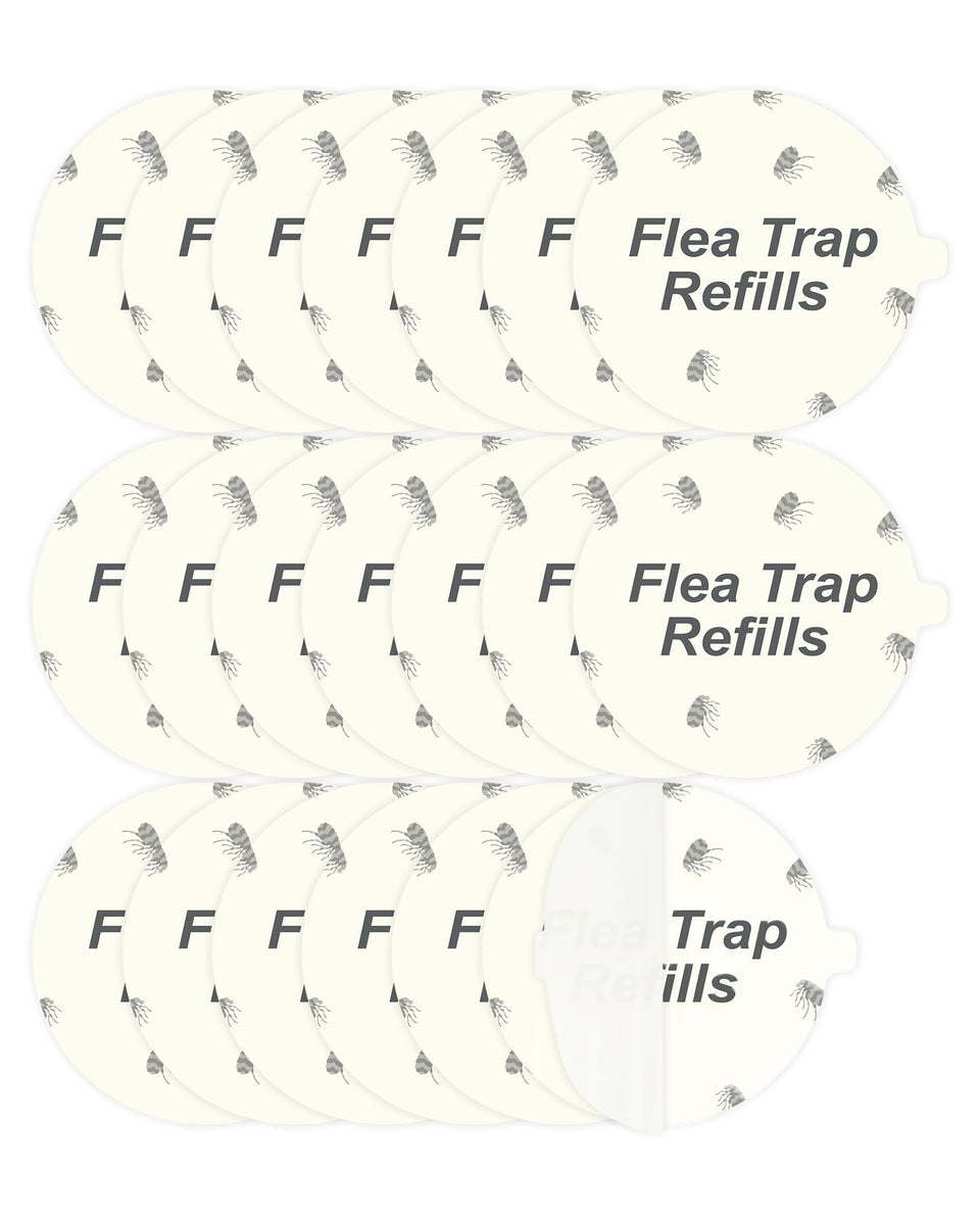 Dichroma flea-trap refill disc for 7-inch traps, easy to install and replace.