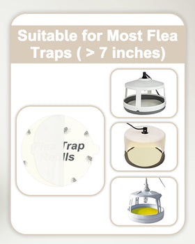 Dichroma refill-disc with strong adhesive to trap tiny pests effectively.