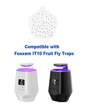 Dichroma Fooxem IT10 trap refill boards in practical indoor use