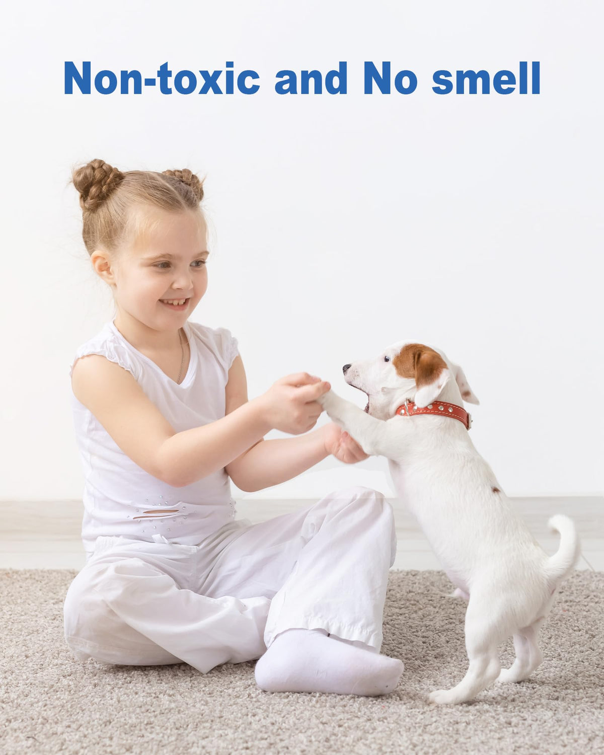 Dichroma indoor insect trap refills are easy to install and replace.