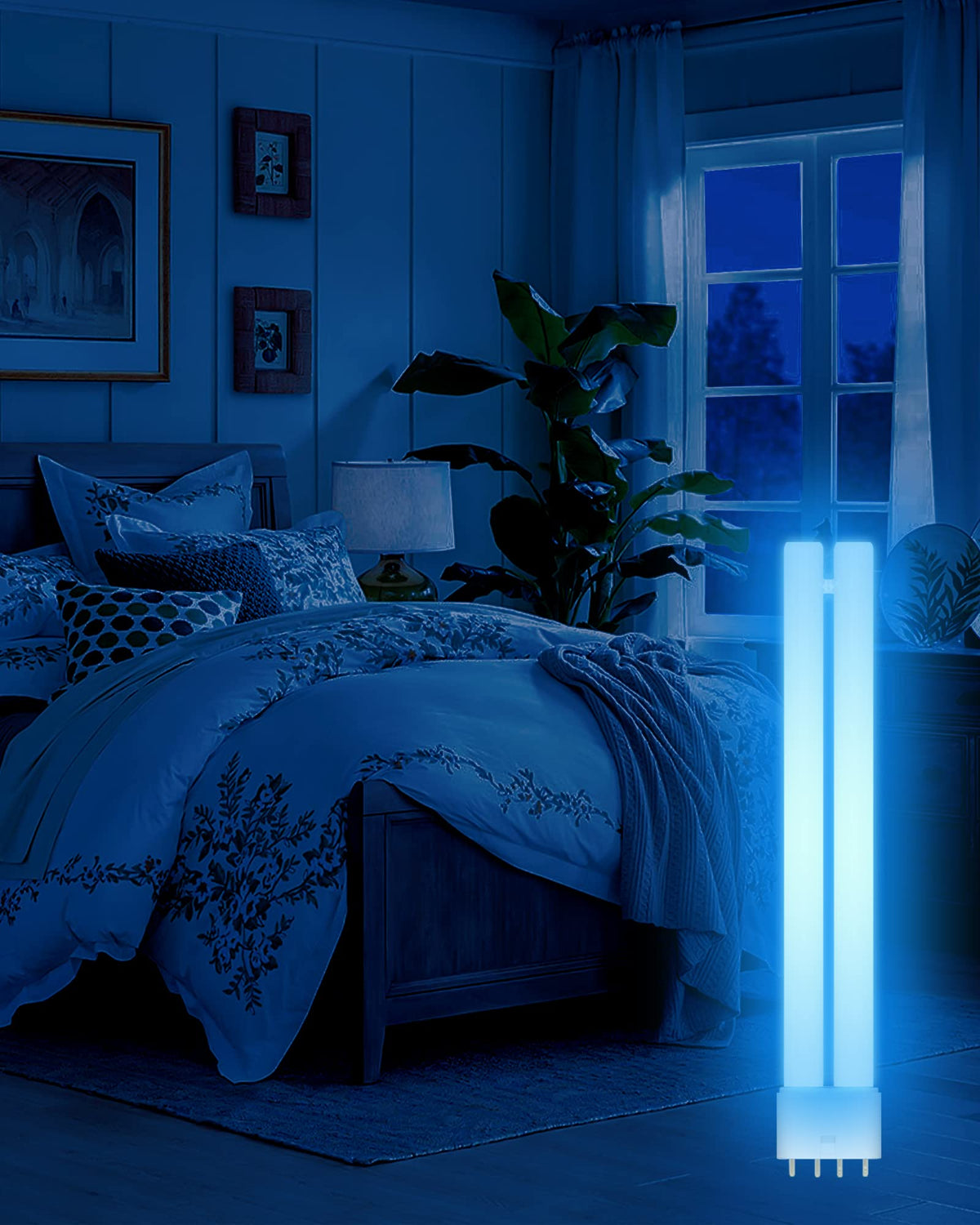 Dichroma packaging protects bulbs during shipping for safe arrival.