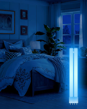 Dichroma packaging protects bulbs during shipping for safe arrival.
