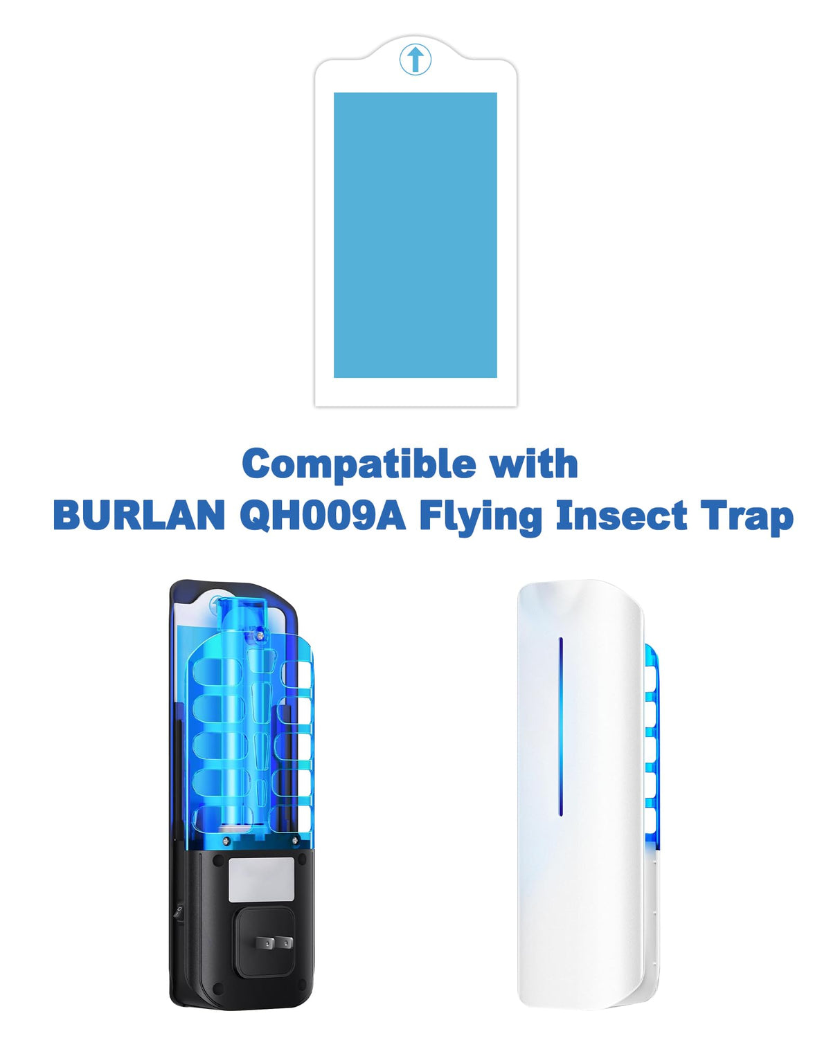 Dichroma sticky glue cards for indoor traps provide quick, mess-free replacements.