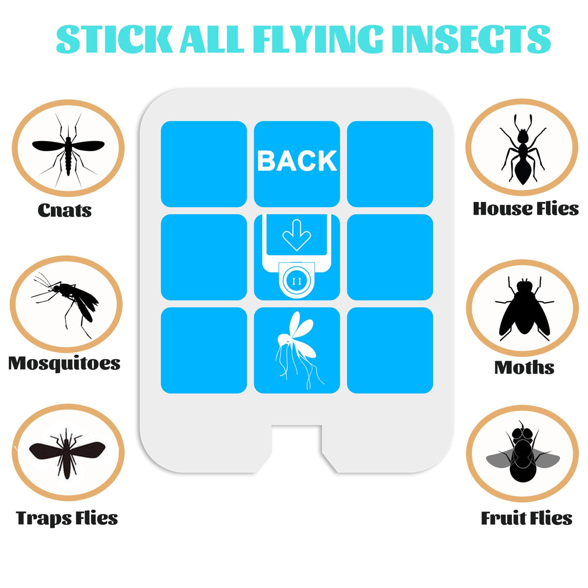 Dickinda easy-install glue card being inserted into a trap