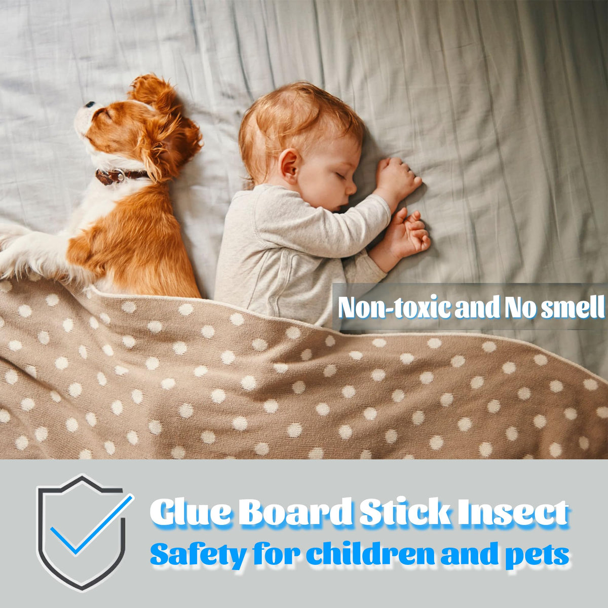 Dickinda glue cards compatible with Saferr Home and Dynatrap traps