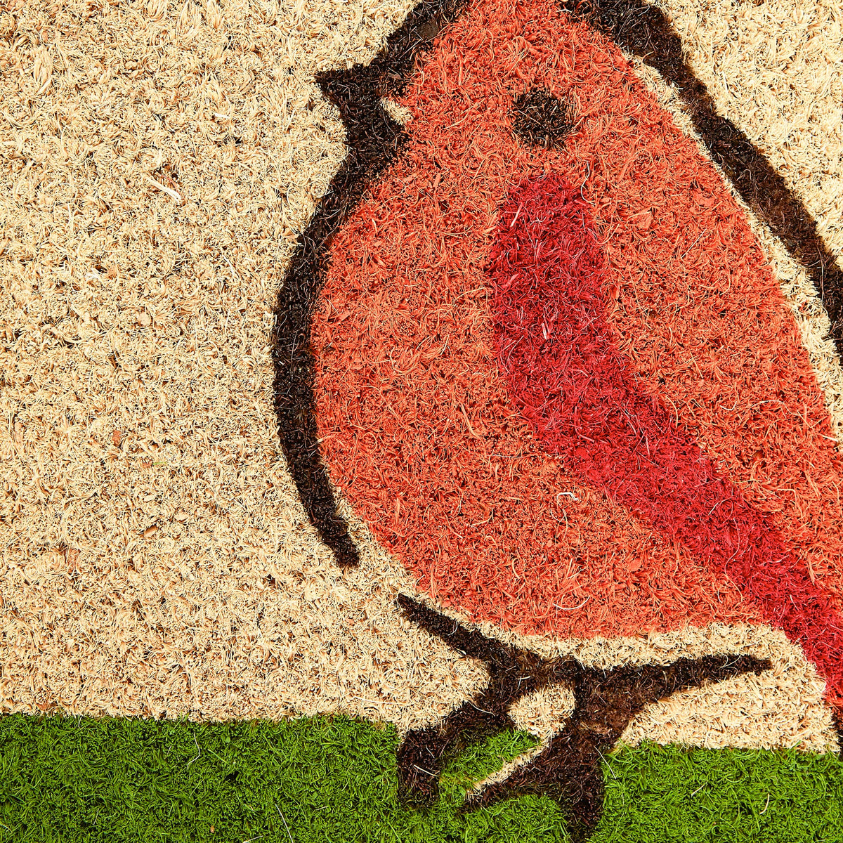 DII bird-design doormat; durable, pet-friendly for busy entrances.