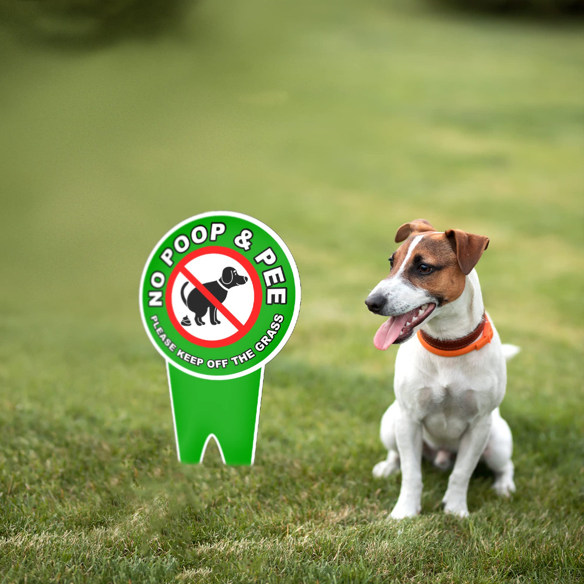 DIMARONGTON discreet-flower-bed-sign blends with landscaping while deterring pet waste.