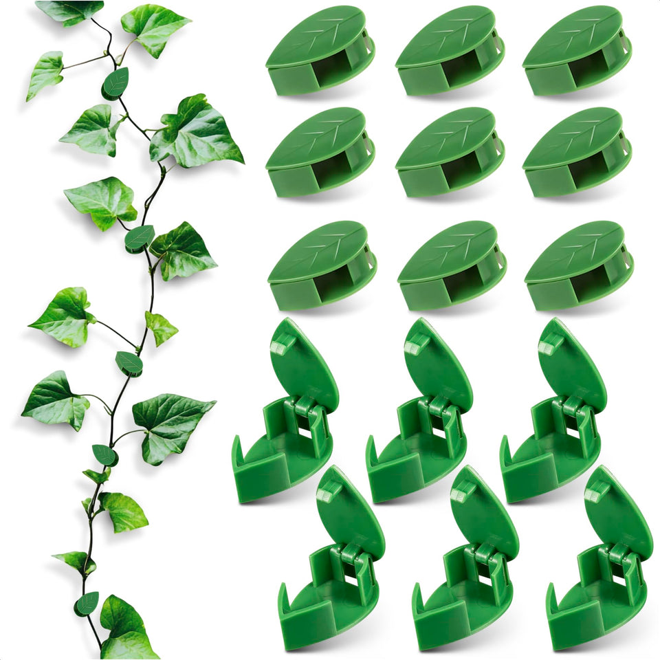 DIMROM leaf-shaped wall clips hold 60 plants neatly for a tidy wall display.