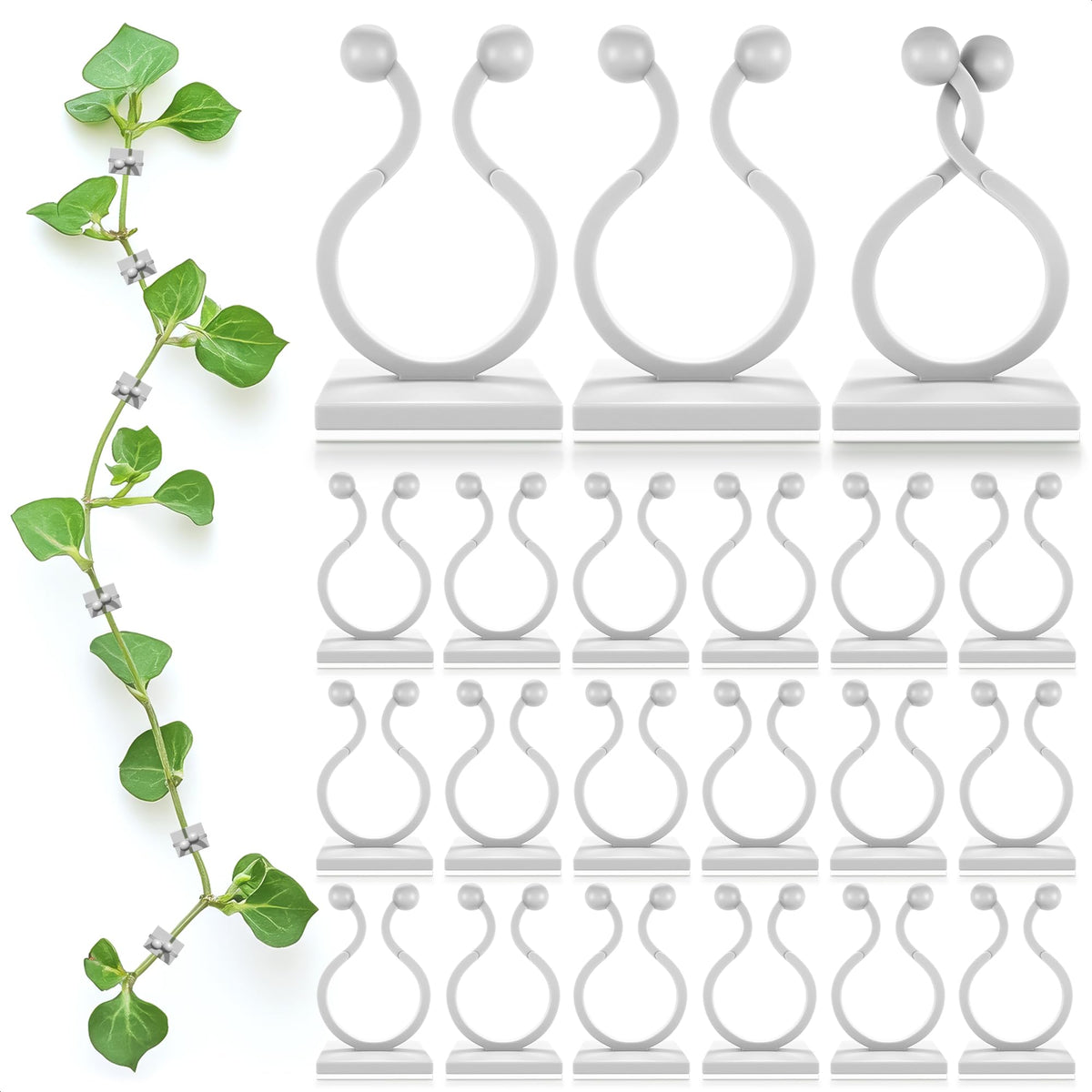 DIMROM clear plant clips wall set holding climbing vines neatly and securely.