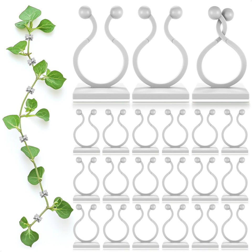 DIMROM clear plant clips wall set holding climbing vines neatly and securely.