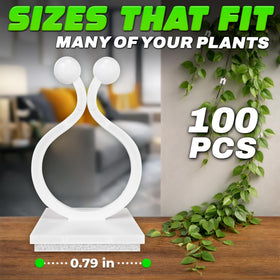 DIMROM flexible adhesive clips provide adjustable plant support for diverse growth.