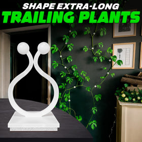 DIMROM indoor vines mounting with wall clips for tidy growth.