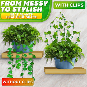 DIMROM for vines and cables helps create vertical garden spaces.