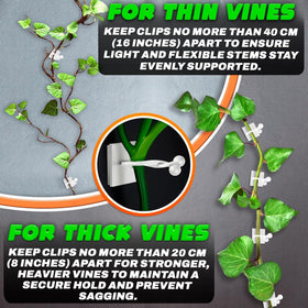 DIMROM pothos vine support clips secure a growing plant.