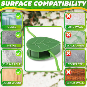 DIMROM weather-resistant plant clips provide sturdy vine support indoors.