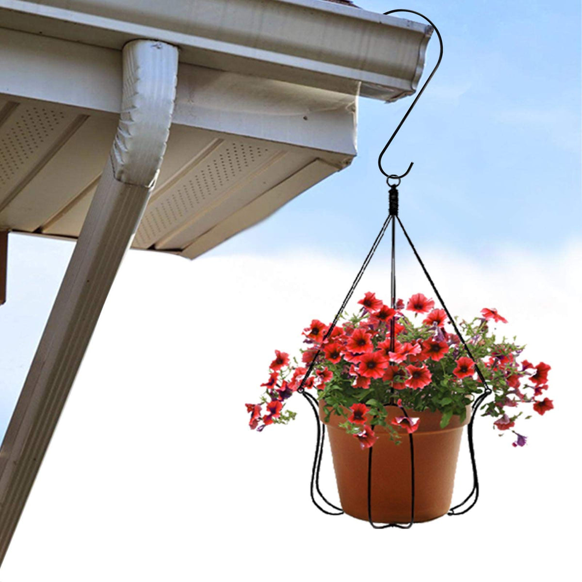 DINGEE Indoor/outdoor hook supports plants and decor.