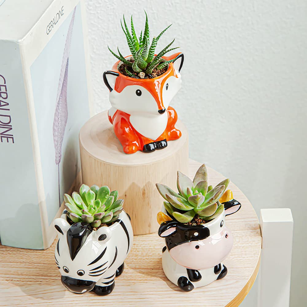 DIYOMR cow ceramic planter ships gift-ready for gardeners and plant lovers.