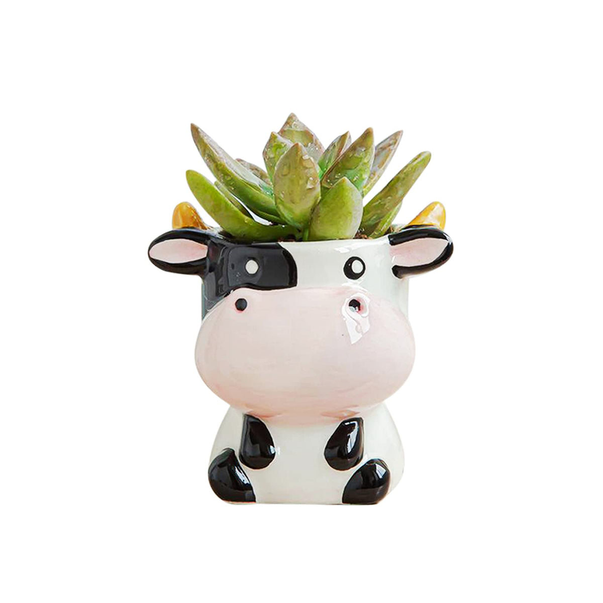 DIYOMR cute cow ceramic planter with glossy finish for indoor succulents.