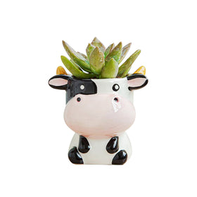 DIYOMR cute cow ceramic planter with glossy finish for indoor succulents.