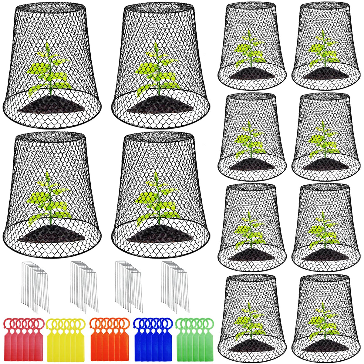 Dizvilz 12Pcs cloches packaging protects seedlings during germination.