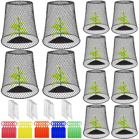 Dizvilz 12Pcs cloches packaging protects seedlings during germination.
