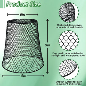 Dizvilz cloches over a seedling allow airflow while shielding.