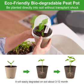 DJGINRO biodegradable pulp pots support eco-friendly gardening and soil health
