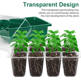 DJGINRO seed tray with drainage holes prevents overwatering and root rot