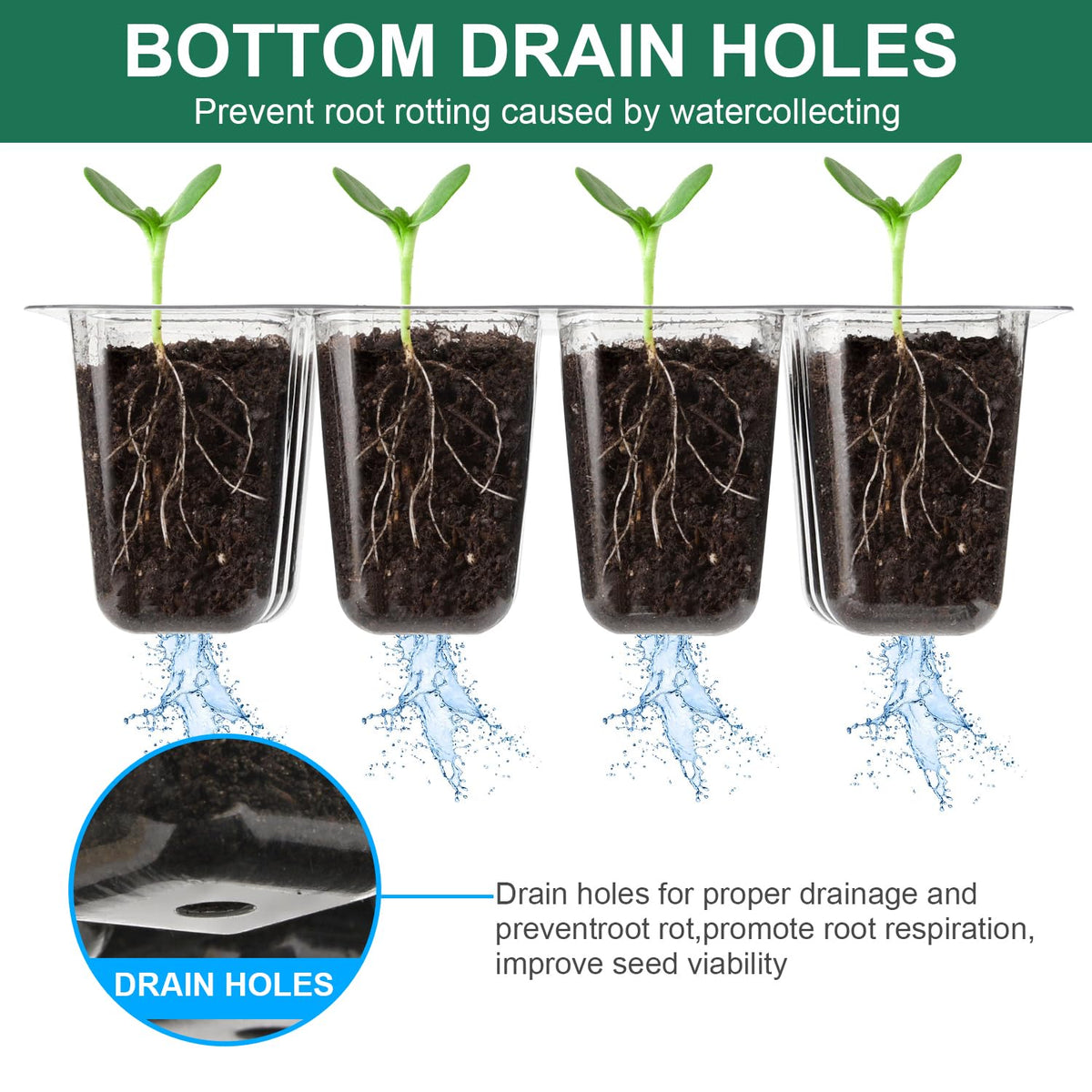 DJGINRO tray works with heat mats to maintain warmth during germination