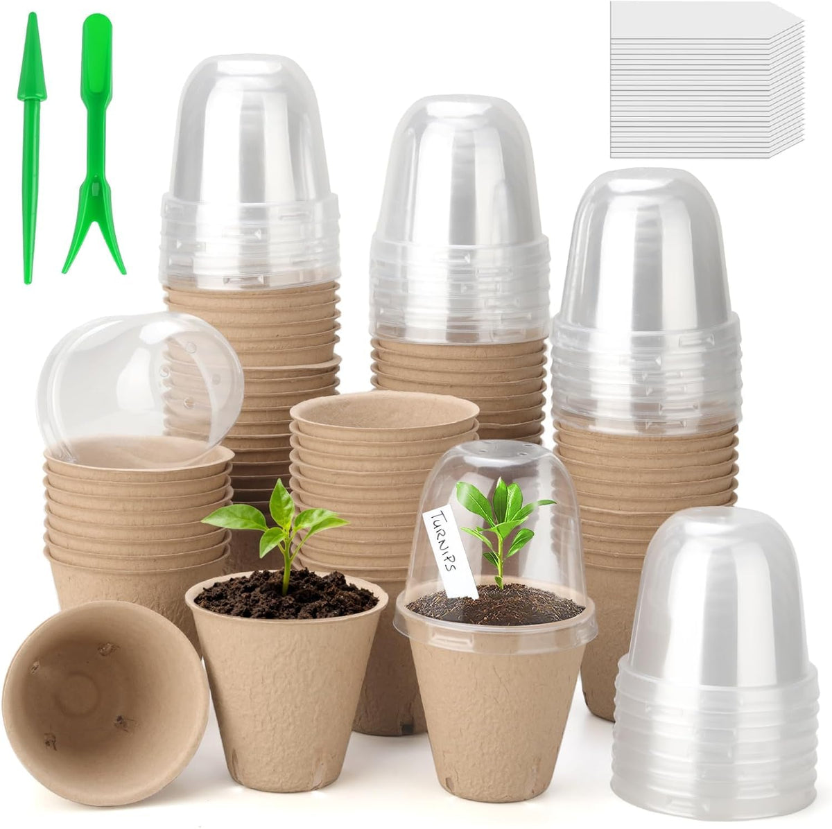 DJGINRO peat pots for seedling germination and easy transplanting into soil