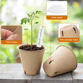 DJGINRO plant labels to track varieties and growth on your seed-start tray