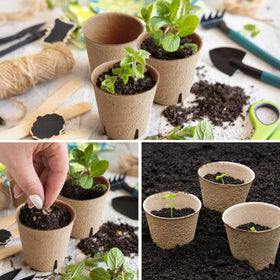 DJGINRO seed-start kit includes everything for a smooth germination process