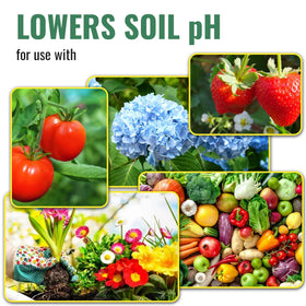 DL Wholesale OMRI certified sulfur supports organic farming.