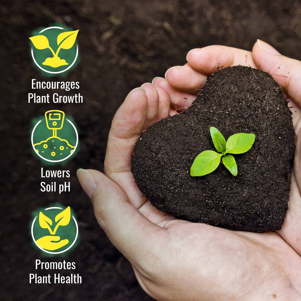 DL Wholesale sulfur burner use improves indoor greenhouse growing conditions.