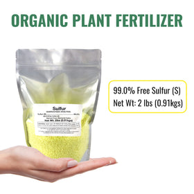 DL Wholesale sulfur for succulents supports healthy, vibrant color.